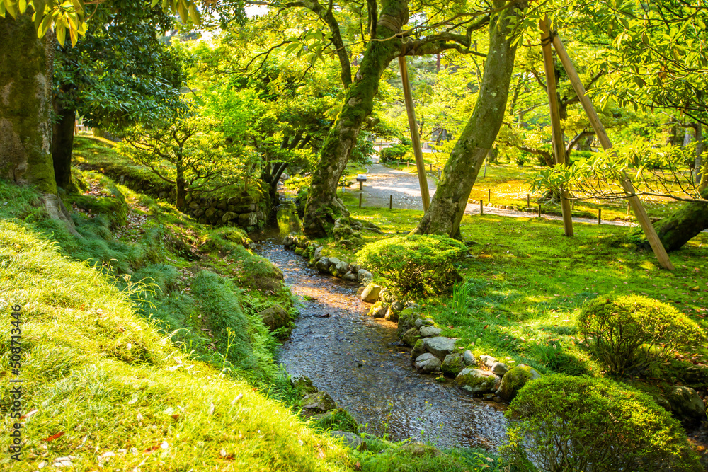 Fototapeta premium 石川県金沢市 新緑の兼六園