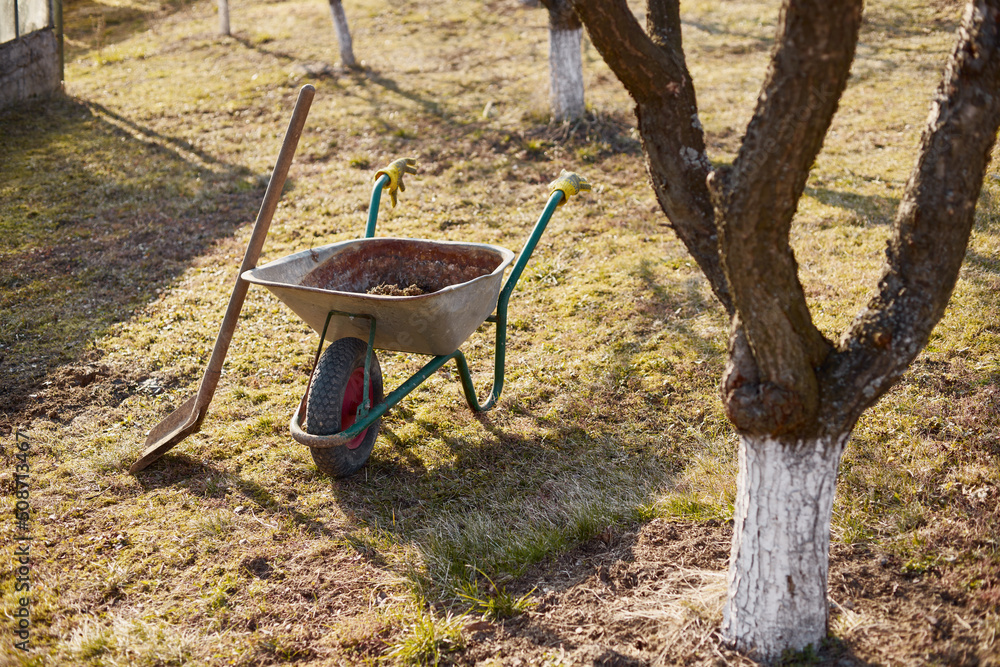 Close-up of a wheelbarrow in the garden at sunset. Close-up of a wheelbarrow in the garden at sunset.