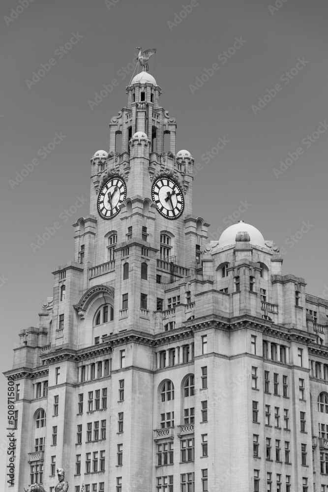 world-famous royal liver building in Liverpool, England, UK. 
Build-in 1911 & once Europe's tallest building, this iconic office tower bears domes & clock.