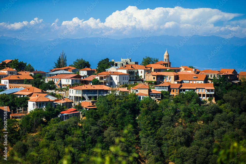Panoramic view of the city with orange roofs