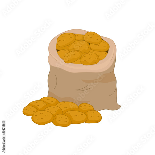 Farm potatoes in burlap sack. Potato tubers, vector illustration. Harvested root crops isolated on white.