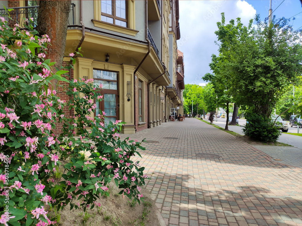 Fototapeta premium Amalienau district in Kaliningrad. Street, cafe, flowers and trees on a sunny day
