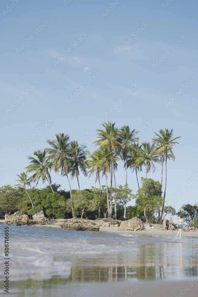 Naklejka premium Tropical Beach View with Beautiful Coconut Trees. Paradise Destination. Morro de Sao Paulo, Brazil.