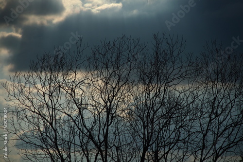 storm clouds timelapse