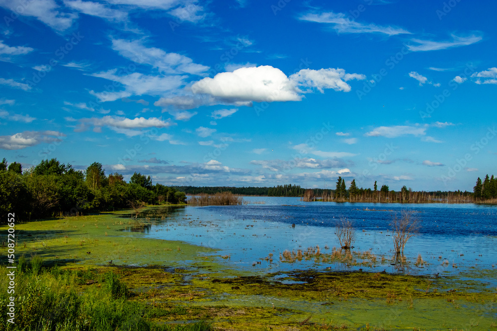 Road side Elk Island National Park Alberta Canada