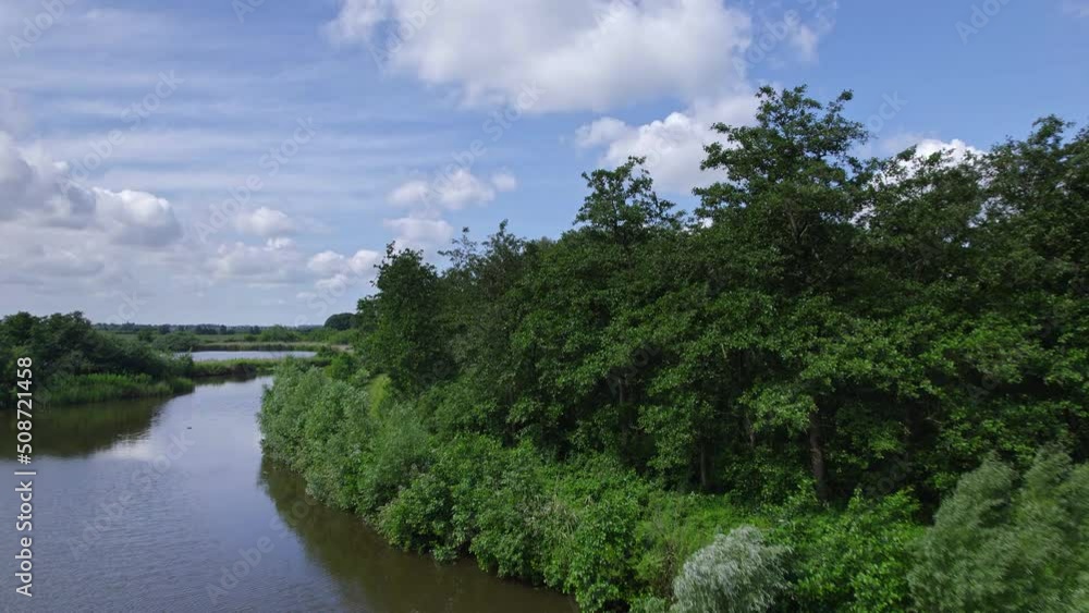 Aerial view of the Dutch countryside. Drone flies low over the lake with ducks and takes off forward over the treetops and over the reeds, shrubs and bushes. Beautiful blue sky with white clouds Aerial view of the Dutch countryside. Drone flies low over the lake with ducks and takes off forward over the treetops and over the reeds, shrubs and bushes. Beautiful blue sky with white clouds