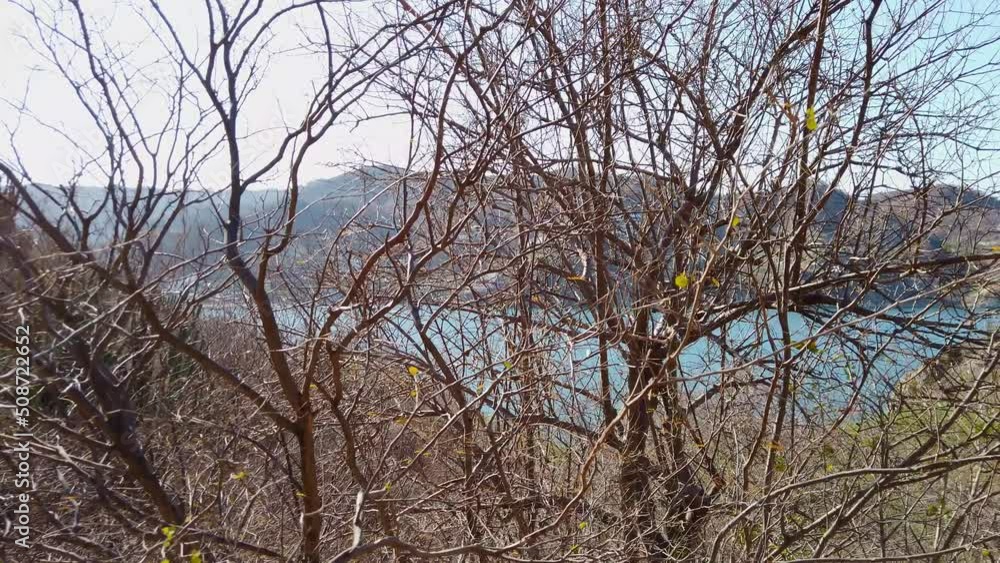 Tropical dry forest ecosystems at the edge of a beach on the Colombian Caribbean coast
Tropical dry forest ecosystems at the edge of a beach on the Colombian Caribbean coast