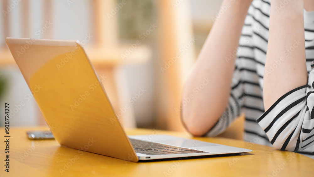 Fototapeta premium ノートパソコンを操作する若い女性