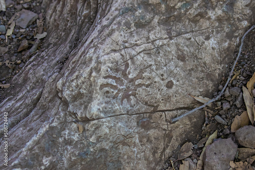 Hohokam Petroglyph in Arizona Deset photo