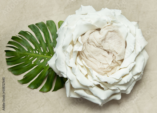 big white flower as digital backdrop or background for newborn baby photography, newborn photo setup and decorations photo