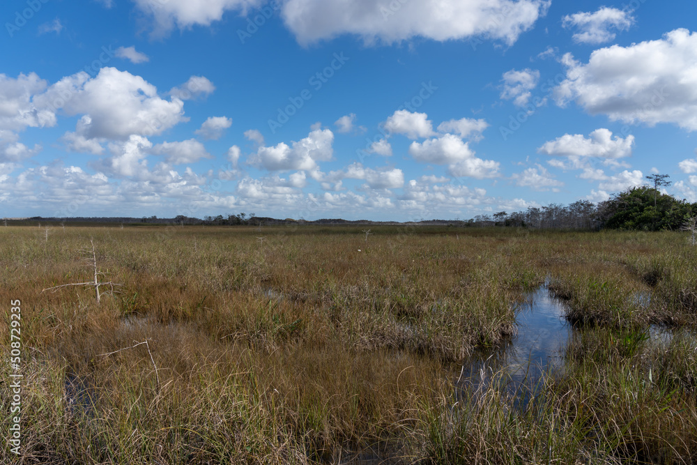 Marshland in Everglades National Park with blue sky and white clouds in Florida, USA. Everglades National Park is a 1.5-million-acre wetlands preserve. Marshland in Everglades National Park with blue sky and white clouds in Florida, USA. Everglades National Park is a 1.5-million-acre wetlands preserve.