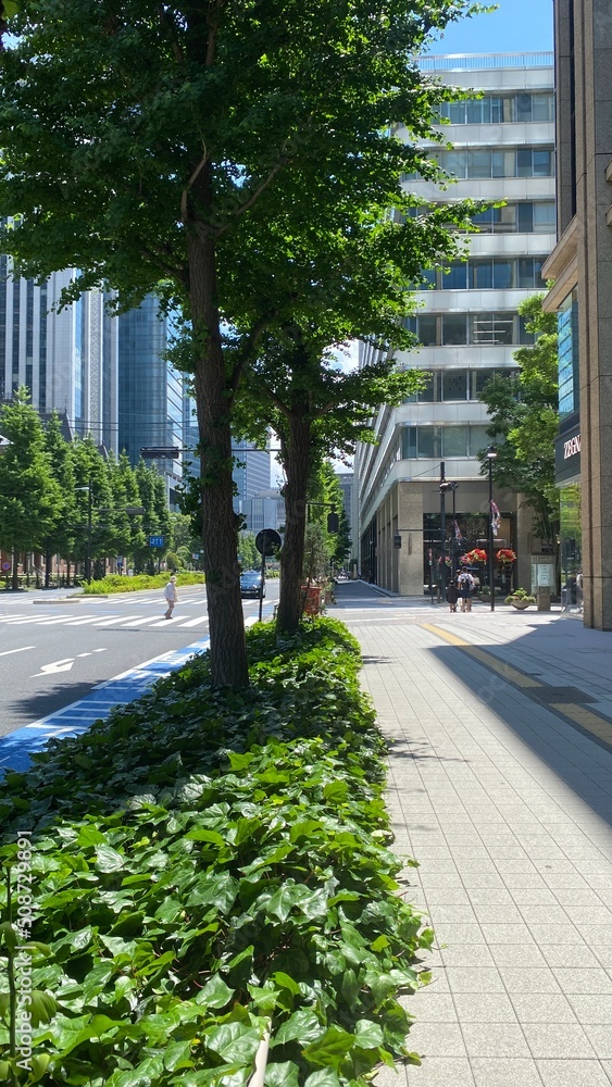 Naklejka premium The street of Marunouchi district, the Tokyo station area, downtown central Tokyo year 2022 June 4th