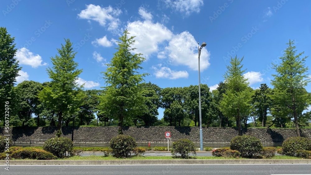 Obraz premium Blue sky and the imperial palace stone walls with trees, sunny daytime year 2022 June 4th morning 