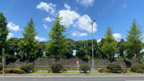 Blue sky and the imperial palace stone walls with trees, sunny daytime year 2022 June 4th morning 