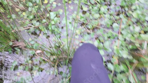 A point of view shot of a man in bare feet walking through swampy water while dragging a kayak. photo