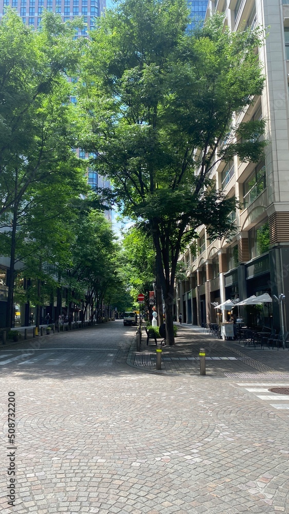 The street and sidewalks of Tokyo central, Marunouchi streets around the Tokyo station, full in summer greenery, filled with sunny sunlights, fresh morning year 2022 June 4th