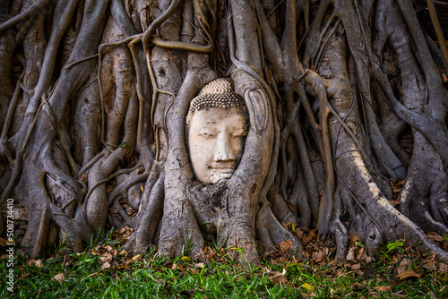 Wat Phra Mahathat temple with head statue trapped in bodhi tree in Phra Nakhon Si Ayutthaya, Thailand © pierrick