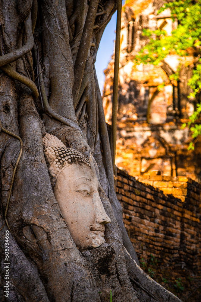 Wat Phra Mahathat temple with head statue trapped in bodhi tree in Phra Nakhon Si Ayutthaya, Thailand Wat Phra Mahathat temple with head statue trapped in bodhi tree in Phra Nakhon Si Ayutthaya, Thailand