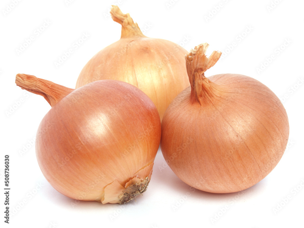 Fototapeta premium Fresh onion isolated on white background