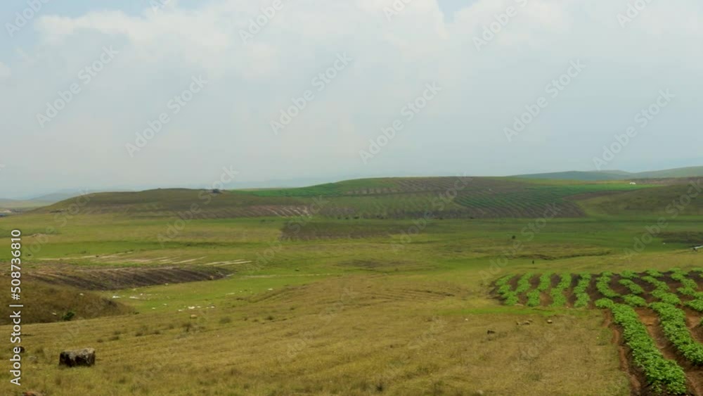 countryside agriculture farming fields with bright blue sky at morning from flat angle countryside agriculture farming fields with bright blue sky at morning from flat angle