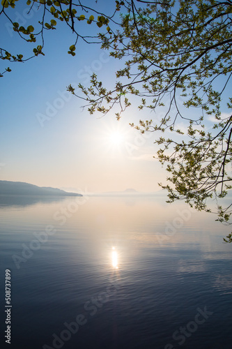 眩しい朝陽の輝く湖の湖畔の木。日本の北海道の屈斜路湖。