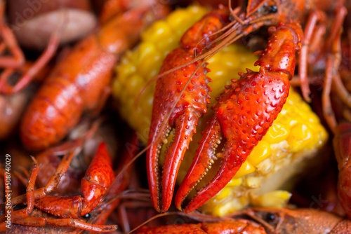 Spicy Louisiana Boiled Crawfish