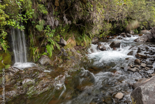 Small, mountain stream with a small waterfall entering from the left. Tongariro National Park, New Zealand.