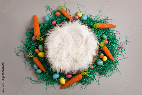 Newborn Digital Photography Background Easter Grass and Egg
