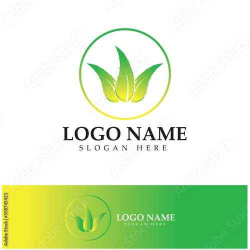 aloe vera logo design icon vector