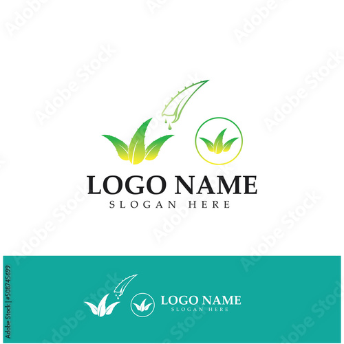 aloe vera logo design icon vector