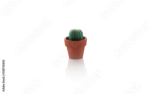 フェルトで作った小さなサボテン