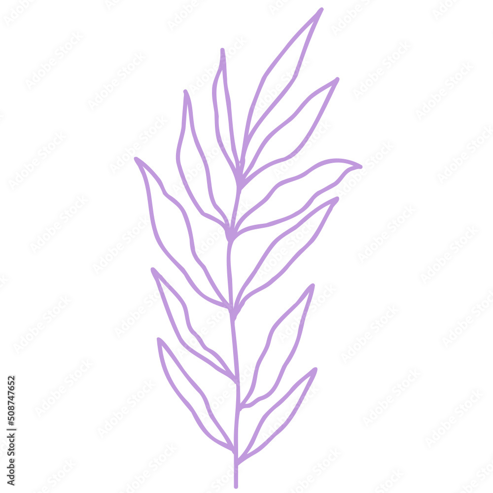 Hand drawn abstract organic leaf. Doodle botanical elements illustration. Hand drawn abstract organic leaf. Doodle botanical elements illustration.