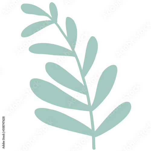 Hand drawn abstract organic leaf. Doodle botanical elements illustration.