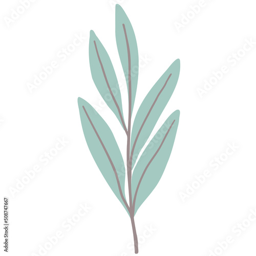 Hand drawn abstract organic leaf. Doodle botanical elements illustration.