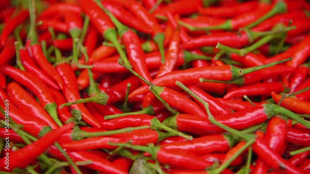 Red hot chili peppers, Close-up field of ripe chili, spicy herbs It is commonly used to flavor food. Red hot chili peppers, Close-up field of ripe chili, spicy herbs It is commonly used to flavor food.