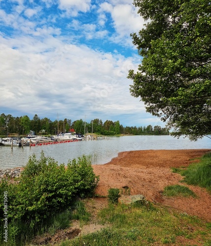 river and trees