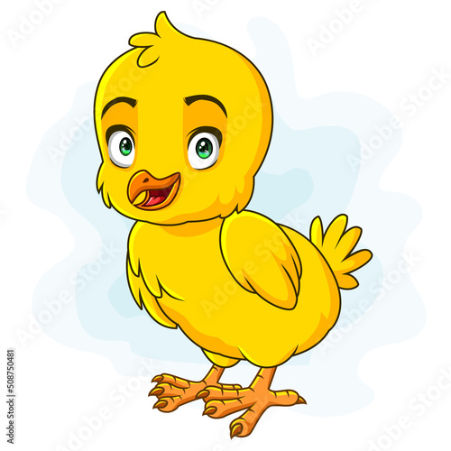 A cute little chicken chick isolated on white background. vector illustration