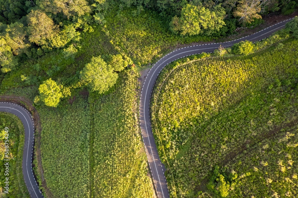 green road in mauritius