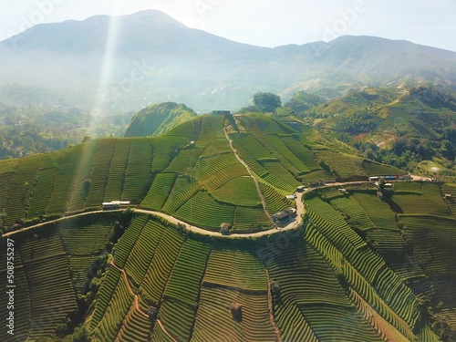 Beautiful aerial view - Agricultural tourism, Bukit Terasssering Panyaweuyan, in Majalengka, West Java - Indonesia. photo