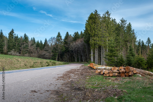 Route forestière dans les Vosges. Grumes de sapins et forêt de conifères sous un ciel bleu.