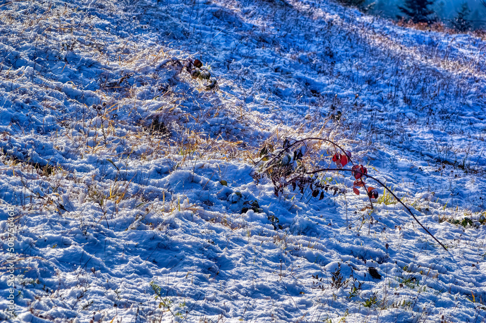 Frozen land covered with snow during cold winter day. Frozen land covered with snow during cold winter day.
