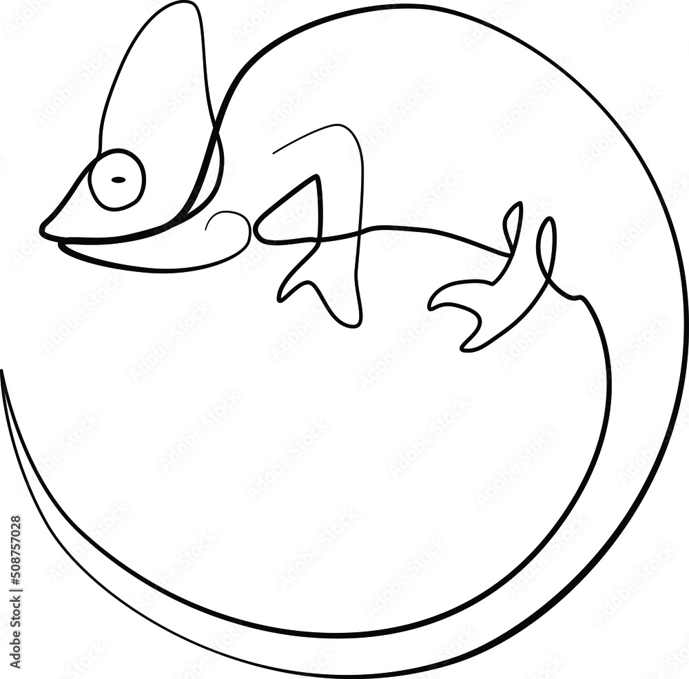 Obraz premium single line exotic pet chameleon