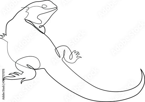 single line exotic pet chameleon