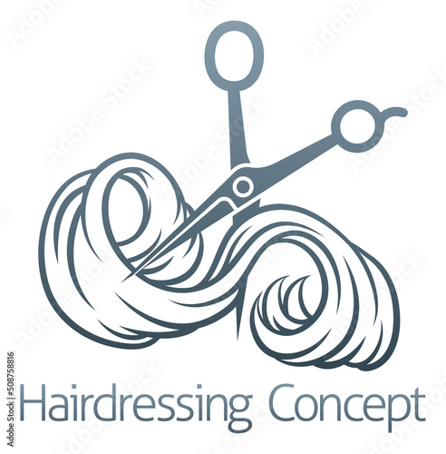 Hairdresser Salon Scissors ...