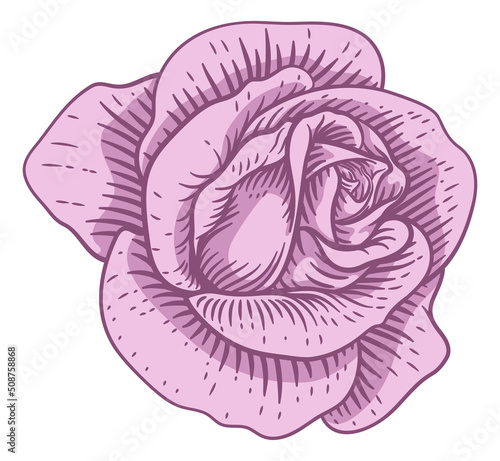 Rose Flower Design Woodcut ...