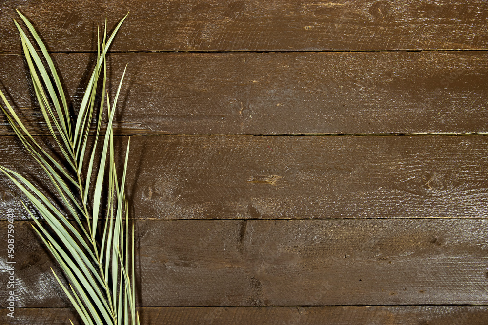 Green palm tree leaf isolated on wood table with copy space Green palm tree leaf isolated on wood table with copy space