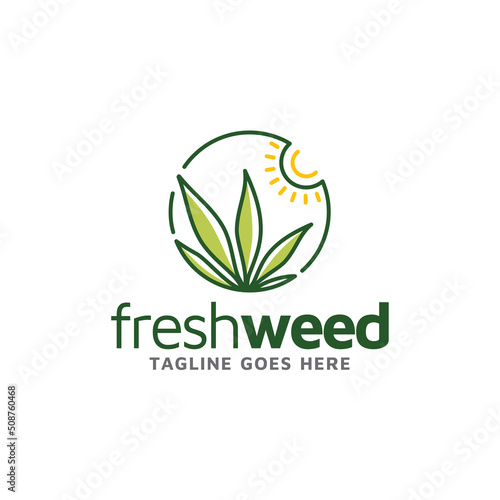 Fresh Grass with Sunrise. Marijuana Cannabis Leaf with Morning Sun logo design