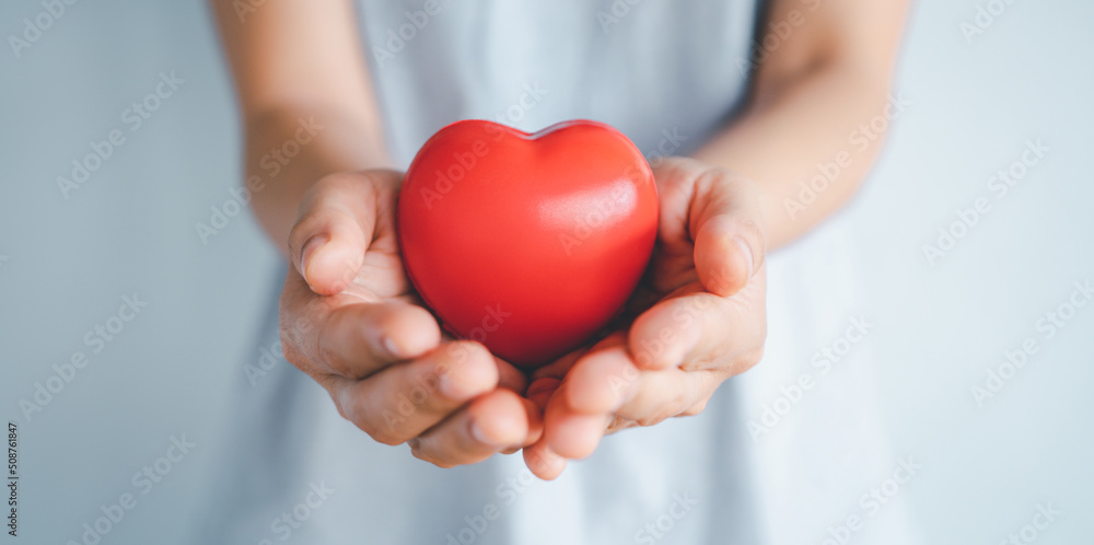 Woman hands holding a red heart, heart health insurance, health care. Woman hands holding a red heart, heart health insurance, health care.