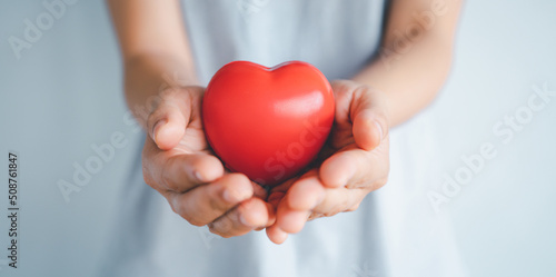 Woman hands holding a red heart, heart health insurance, health care.