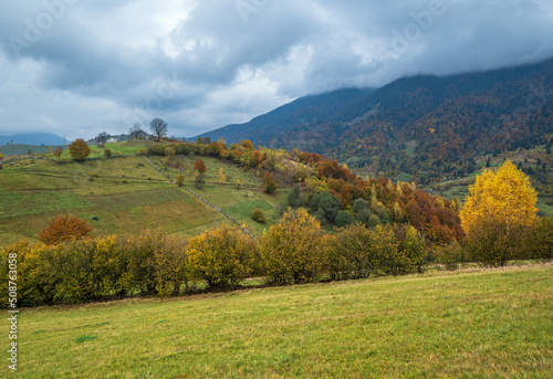 Cloudy and foggy day autumn mountains scene. Peaceful picturesque traveling  seasonal  nature and countryside beauty concept scene. Carpathian Mountains  Ukraine.